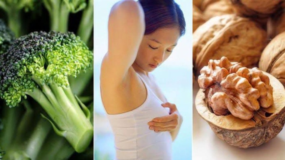 alimentos saudáveis